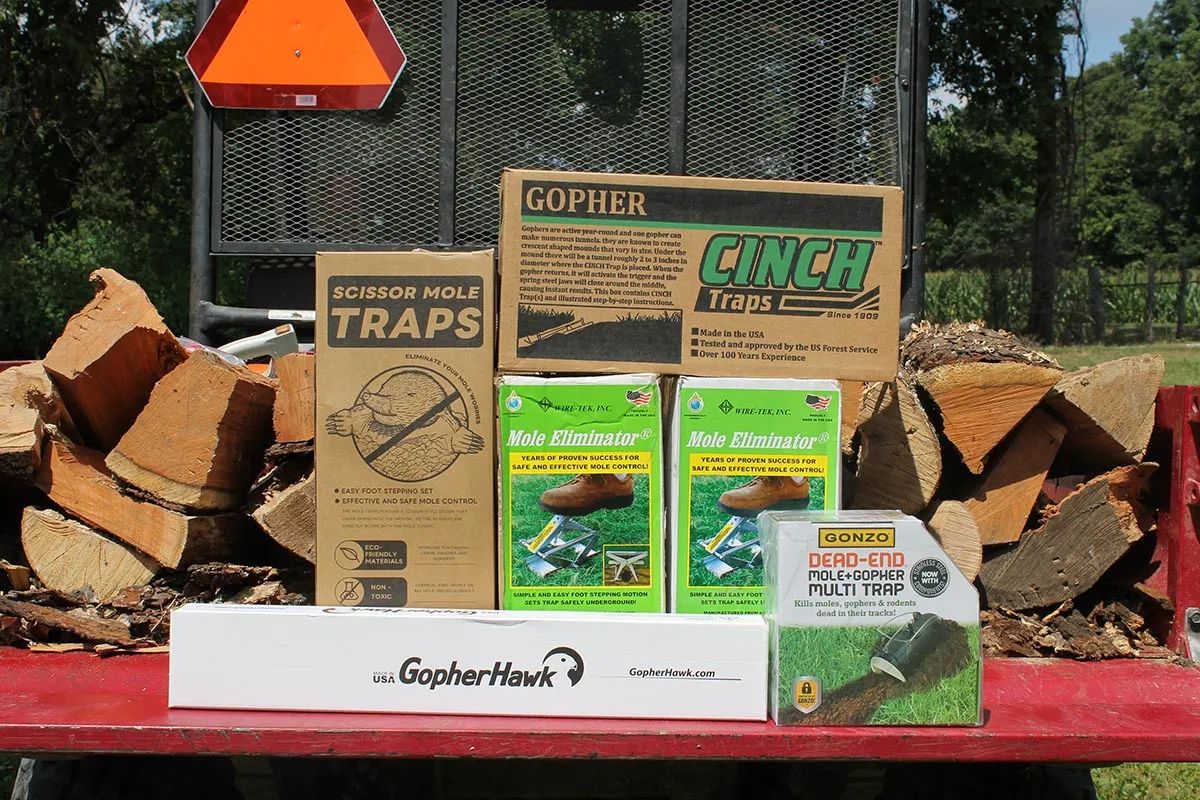 The Best Mole Traps: 4-Week Testing Reveals Top Choice